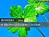 《測你30歲以後可以遇到什麼樣的<i>愛情</i>》测试
