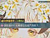 《測你<i>遇到</i>什麼情敵會沒底氣取勝？》测试