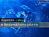 《測你的<i>愛情</i>能否經曆住金錢的考驗》测试