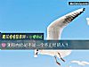 《測你<i>內心</i>是不是一個不正經的人？》测试