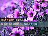 《五月份你的<i>婚姻</i>會出現什麼大問題》测试