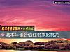 《測本年誰會給你帶來好<i>桃花</i>》测试