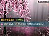 《<i>愛情</i>測試：吵架會讓你們越吵越恩愛嗎？》测试