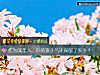 《作爲成年人，你的孩子氣還保留了多少？》测试