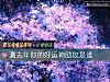 《測去年你的<i>好運</i>神助攻是誰》测试