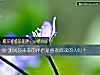 《測試你未來的<i>伴侶</i>是喜歡閱讀的人嗎？》测试