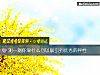 《測一測你靠什麼可以吸引到<i>優秀</i>的異性》测试
