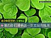 《製約你們感情進一步<i>發展</i>的瓶頸》测试
