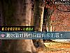 《測你<i>面對</i>兩性問題有多邪惡？》测试