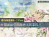 《提起<i>前任</i>你能若無其事嗎？》测试