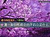 《測一測你性格中的<i>矛盾</i>點是什麼》测试