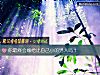 《你最終會嫁給比自己小的<i>男人</i>嗎？》测试