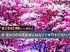 《測試你的假期能夠安穩度過不被<i>同事</i>打擾嗎？》测试