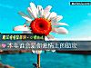 《本年誰會是你<i>愛情</i>上的助攻》测试