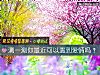 《測一測你最近可以遇到<i>愛情</i>嗎？》测试