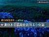 《測你本年底能<i>收獲</i>到多少財富》测试