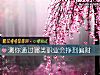《測你通過哪類職業會掙到<i>偏財</i>》测试