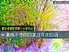 《測他不帶你回家過年的<i>原因</i>》测试