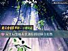 《從生日蛋糕形狀測你的瞎操心<i>指數</i>》测试