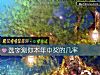《選字測你<i>本年</i>中獎的幾率》测试