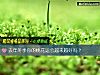 《去年冬季你的<i>桃花運</i>會越來越好嗎？》测试