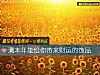 《測本年能給你帶來財運的飾品》测试