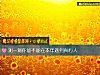 《測一測你能不能在本年<i>遇到</i>真心人》测试