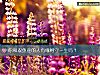 《你和雙魚座的人有緣相守<i>一生</i>嗎？》测试