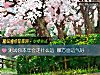 《測試你本年會走什麼運 哪方面<i>運氣</i>好》测试