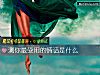 《測你最受用的<i>情話</i>是什麼》测试