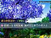 《你的一生如何發展 測終生運解答你的<i>人生</i>困惑》测试