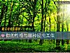 《你的<i>性格</i>與哪種昆蟲類似》测试