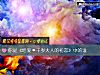 《你是《結愛·千歲大人的<i>初戀</i>》中的誰》测试