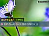 《你的<i>戀人</i>對怒火中燒的你有何反應》测试