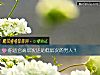 《你適合高層次還是低層次的<i>男人</i>？》测试