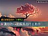 《測你的ta能<i>腹黑</i>到什麼地步》测试