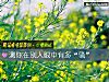 《測你在別人<i>眼中</i>有多“騷”》测试