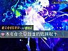 《<i>本年</i>你會受到誰的照顧呢？》测试