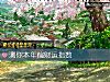 《測你本年偏財運<i>指數</i>》测试