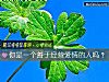 《你是一個善于經營<i>愛情</i>的人嗎？》测试