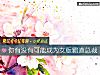 《你<i>有沒有</i>可能成爲女版霸道總裁》测试