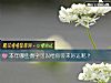《本年哪些數字可以給你帶來<i>好運</i>呢？》测试
