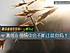 《測他在<i>感情</i>中會不斷遷就你嗎？》测试