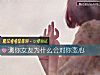 《測你<i>女友</i>爲什麼會對你變心》测试