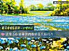 《這輩子你能拿到<i>偶像</i>的簽名照嗎？》测试