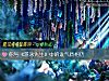 《你與《遊泳先生》中的誰<i>氣質</i>相仿》测试