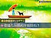 《你能與後媽和平<i>相處</i>嗎？》测试