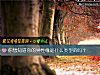 《你想知道你的<i>異性</i>緣是什麼類型的嗎？》测试