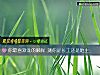 《你最<i>喜歡</i>誰的眼眸 測你是長工還是地主》测试