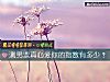 《測男票真心愛你的<i>指數</i>有多少？》测试